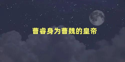 曹睿身为曹魏的皇帝