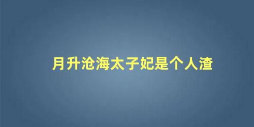 月升沧海太子妃是个人渣