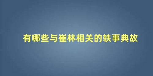 有哪些与崔林相关的轶事典故