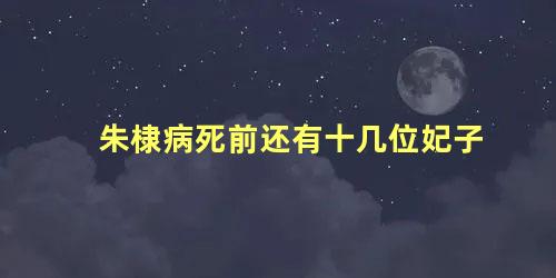 朱棣病死前还有十几位妃子