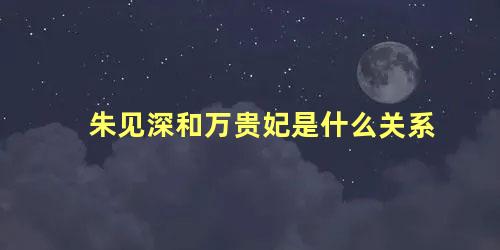 朱见深和万贵妃是什么关系