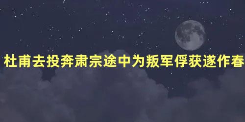 杜甫去投奔肃宗途中为叛军俘获遂作春望