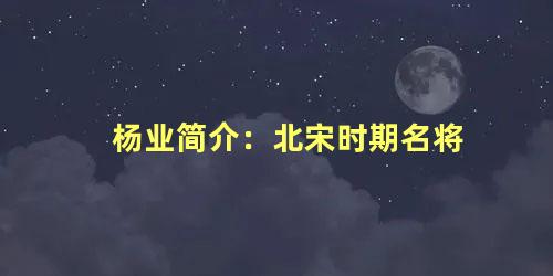 杨业简介：北宋时期名将