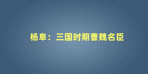 杨阜：三国时期曹魏名臣