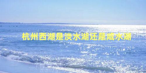 杭州西湖是淡水湖还是咸水湖