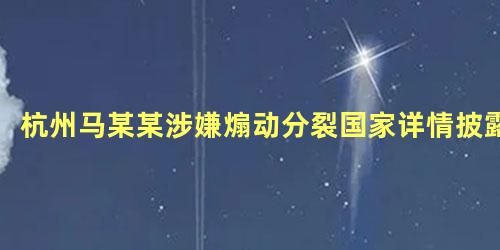 杭州马某某涉嫌煽动分裂国家详情披露