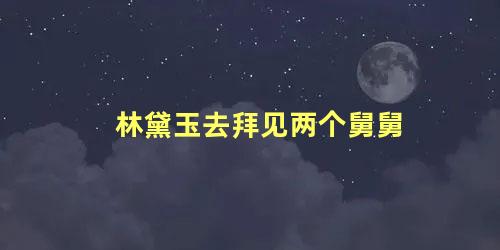 林黛玉去拜见两个舅舅