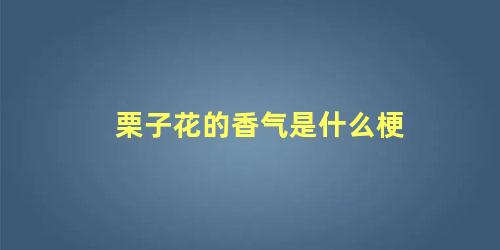 栗子花的香气是什么梗