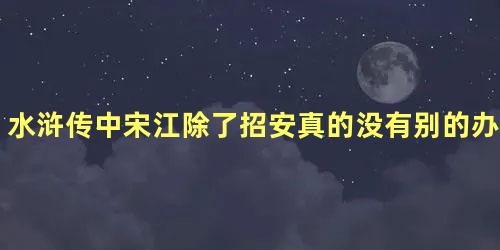 水浒传中宋江除了招安真的没有别的办法了吗