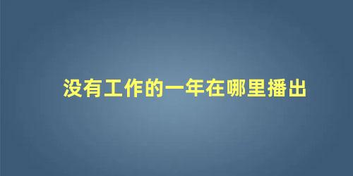 没有工作的一年在哪里播出