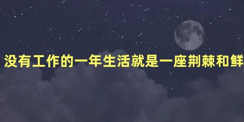 没有工作的一年生活就是一座荆棘和鲜花相伴的修罗场