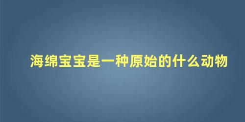 海绵宝宝是一种原始的什么动物