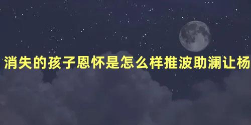 消失的孩子恩怀是怎么样推波助澜让杨莫消失的