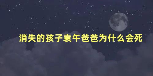 消失的孩子袁午爸爸为什么会死