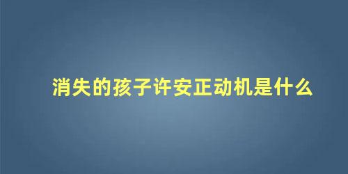 消失的孩子许安正动机是什么