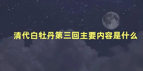 清代白牡丹第三回主要内容是什么