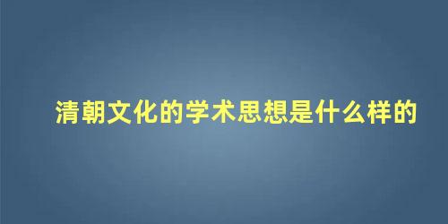 清朝文化的学术思想是什么样的