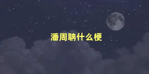 潘周聃什么梗