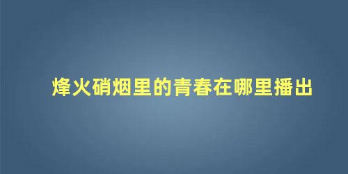 烽火硝烟里的青春在哪里播出