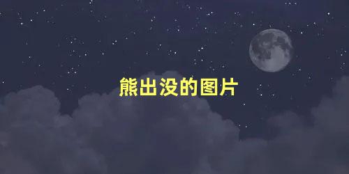 熊出没的图片