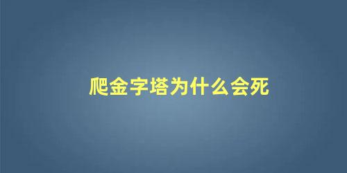 爬金字塔为什么会死