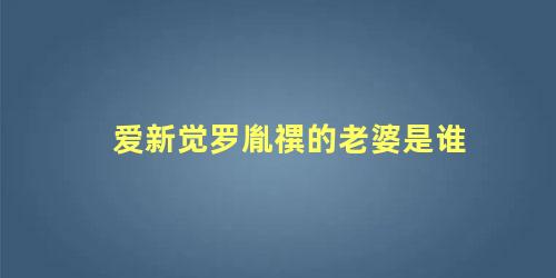 爱新觉罗胤禩的老婆是谁