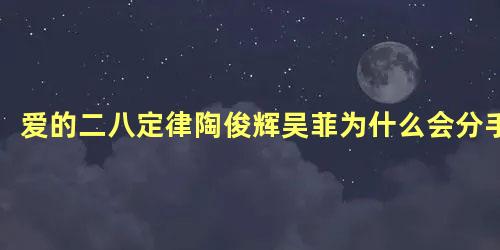 爱的二八定律陶俊辉吴菲为什么会分手