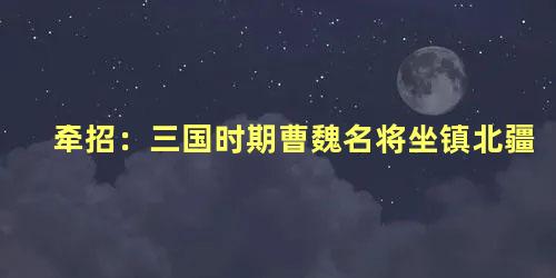 牵招：三国时期曹魏名将坐镇北疆