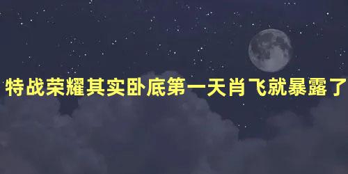 特战荣耀其实卧底第一天肖飞就暴露了身份