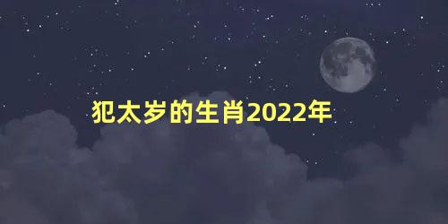 犯太岁的生肖2022年