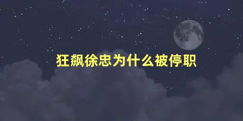 狂飙徐忠为什么被停职