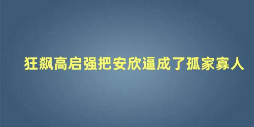 狂飙高启强把安欣逼成了孤家寡人