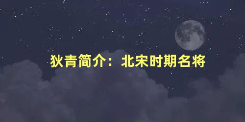 狄青简介：北宋时期名将