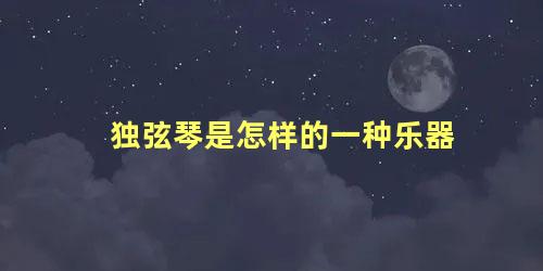 独弦琴是怎样的一种乐器