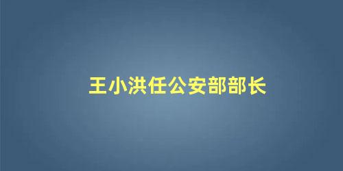 王小洪任公安部部长