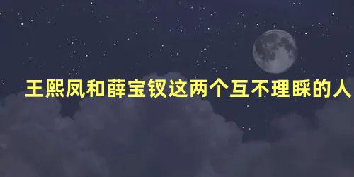 王熙凤和薛宝钗这两个互不理睬的人