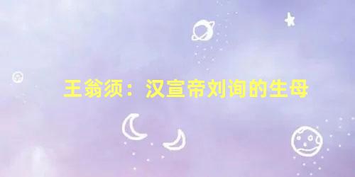 王翁须：汉宣帝刘询的生母