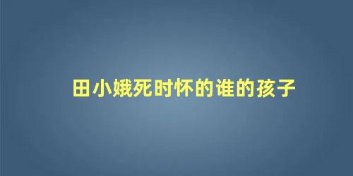 田小娥死时怀的谁的孩子