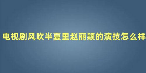 电视剧风吹半夏里赵丽颖的演技怎么样呢