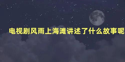 电视剧风雨上海滩讲述了什么故事呢