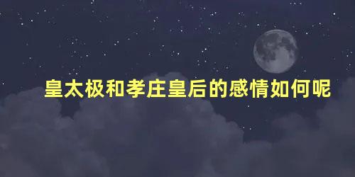 皇太极和孝庄皇后的感情如何呢