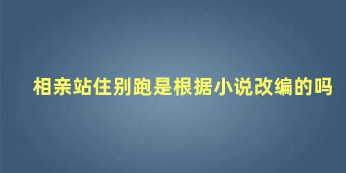 相亲站住别跑是根据小说改编的吗