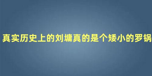 真实历史上的刘墉真的是个矮小的罗锅吗