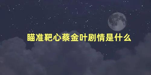 瞄准靶心蔡金叶剧情是什么