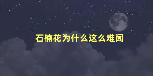 石楠花为什么这么难闻