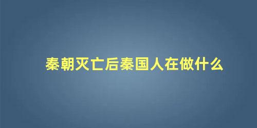 秦朝灭亡后秦国人在做什么