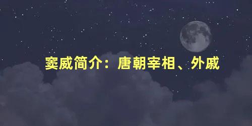 窦威简介：唐朝宰相、外戚