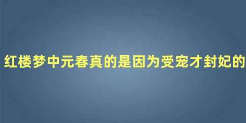 红楼梦中元春真的是因为受宠才封妃的吗