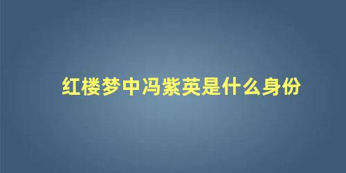 红楼梦中冯紫英是什么身份