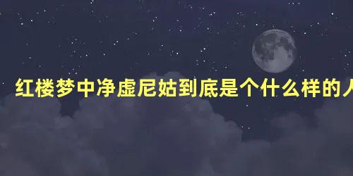 红楼梦中净虚尼姑到底是个什么样的人